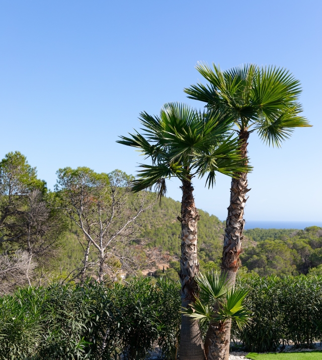 Resa Estates for sale Ibiza Vlla Aixa te koop sale lift sea views exterior garden.jpg